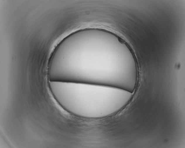 X0000111131525200906301053