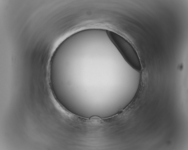 X0000111131528200906301053