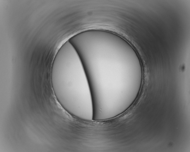 X0000111131529200906301053