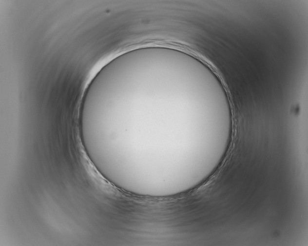 X0000111131530200906301053