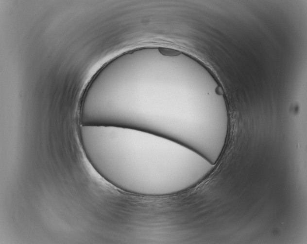 X0000111131531200906301053