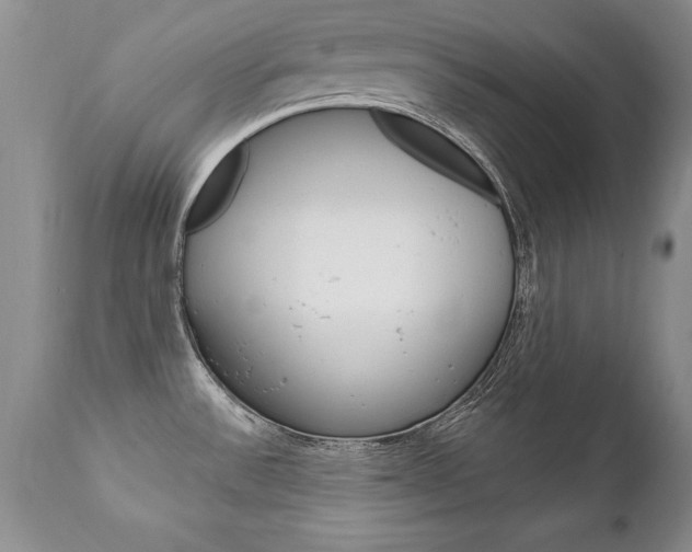 X0000111131532200906301053