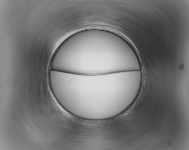 X0000111131533200906301053