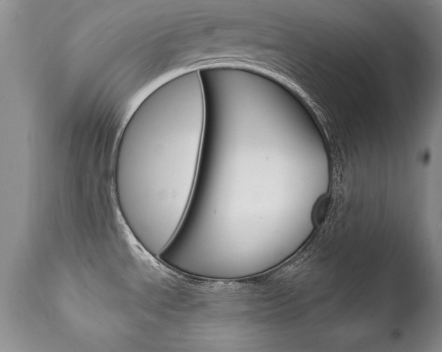 X0000111131534200906301053