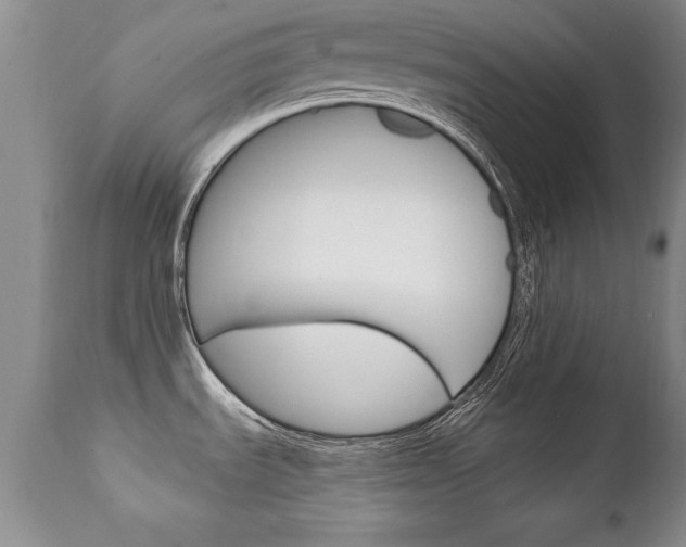 X0000111131535200906301053