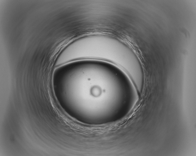 X0000111130001200906301219