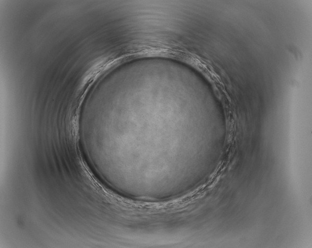 X0000111130002200906301219