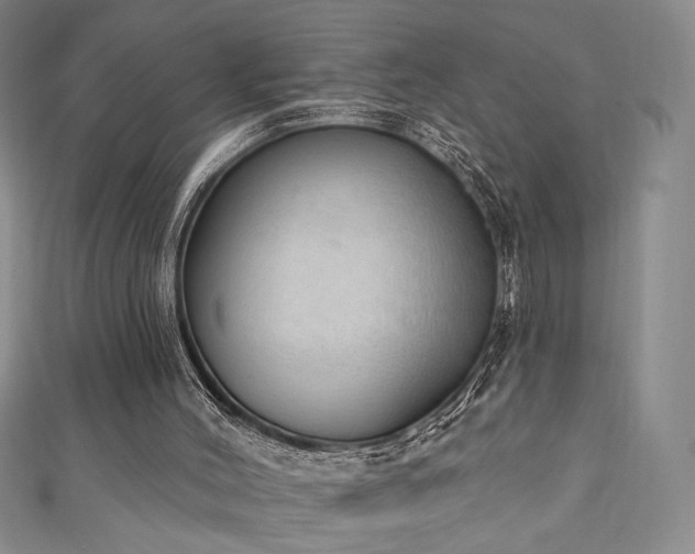 X0000111130004200906301219