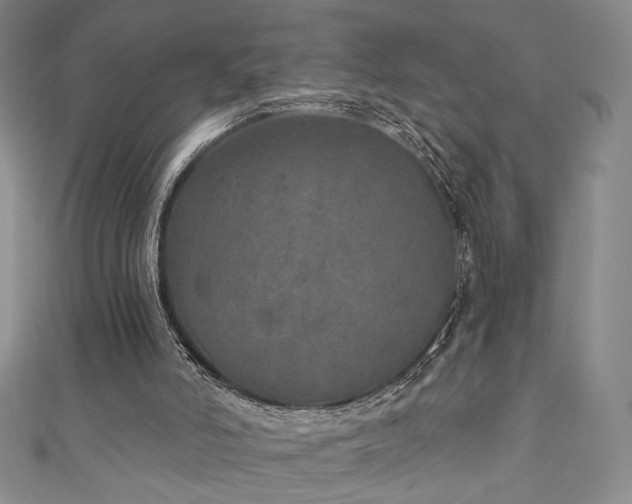 X0000111130006200906301219