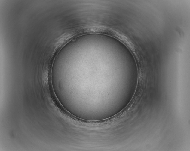 X0000111130010200906301219