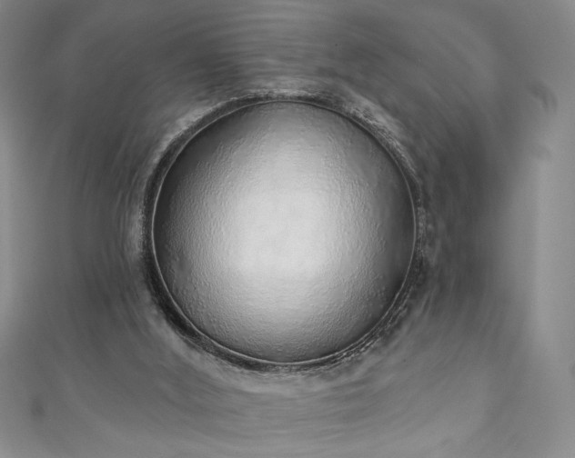 X0000111130012200906301219