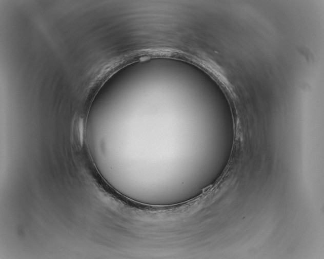 X0000111130013200906301219