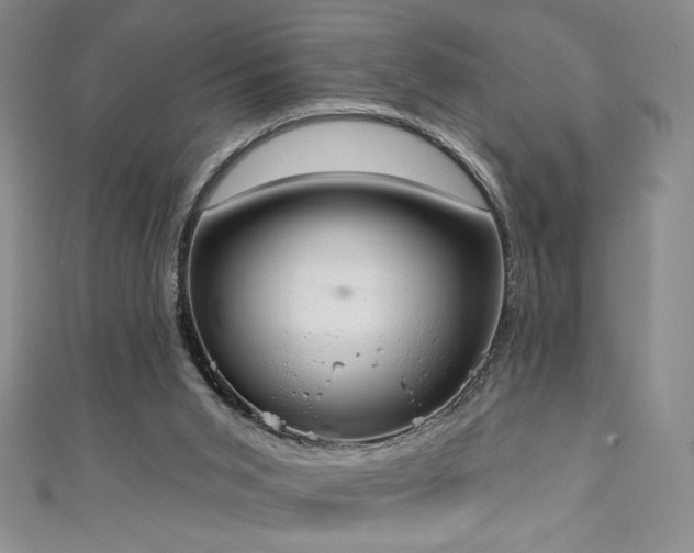 X0000111130015200906301219