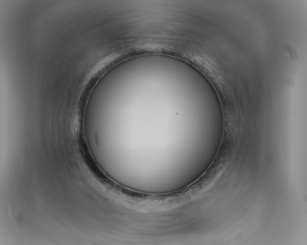 X0000111130016200906301219