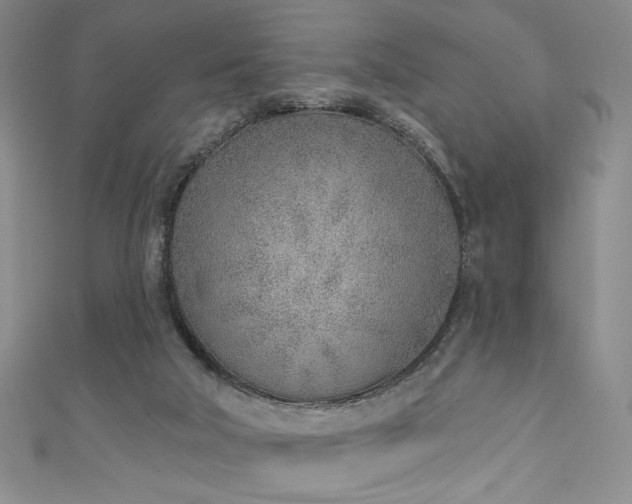 X0000111130018200906301219