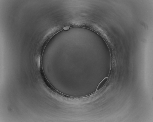 X0000111130019200906301219