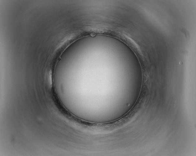 X0000111130020200906301219