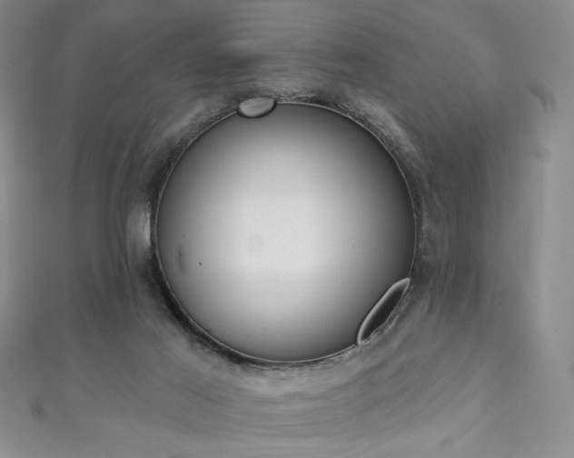 X0000111130021200906301219