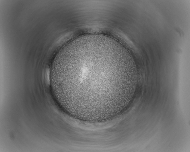 X0000111130022200906301219