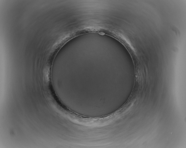 X0000111130023200906301219