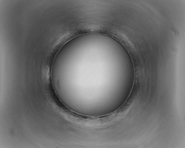 X0000111130024200906301219
