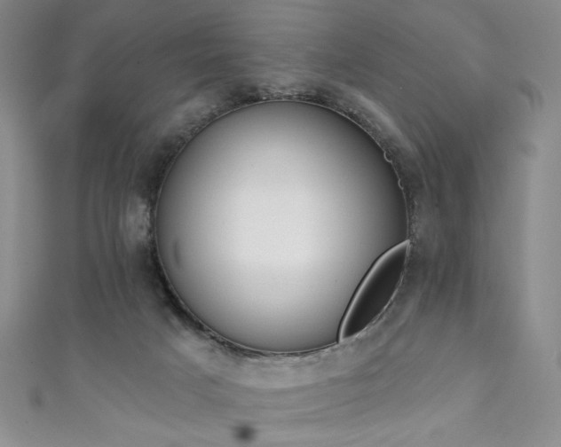 X0000111130025200906301219