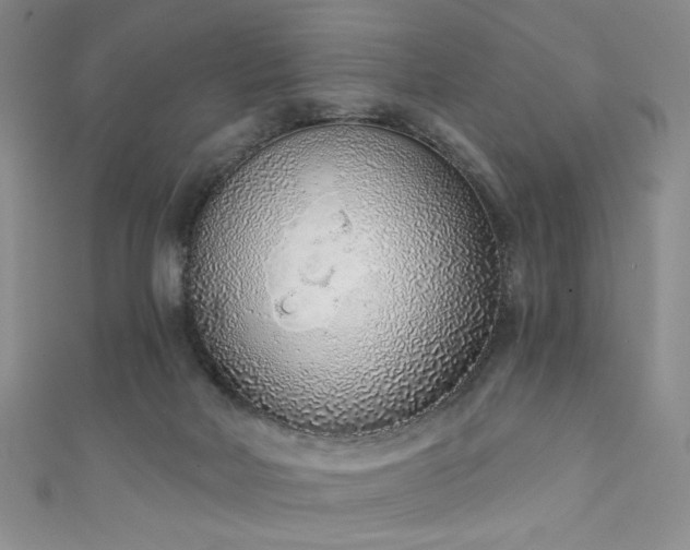 X0000111130026200906301219