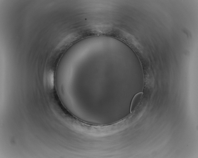 X0000111130027200906301219