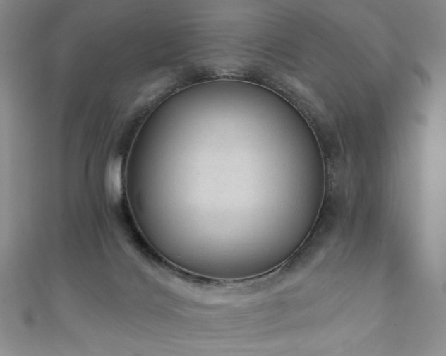 X0000111130028200906301219