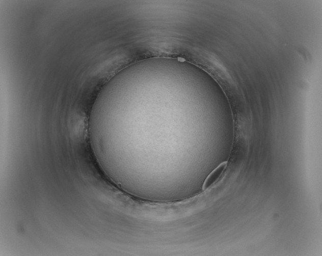 X0000111130029200906301219
