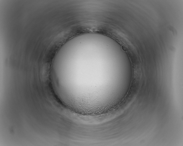X0000111130030200906301219