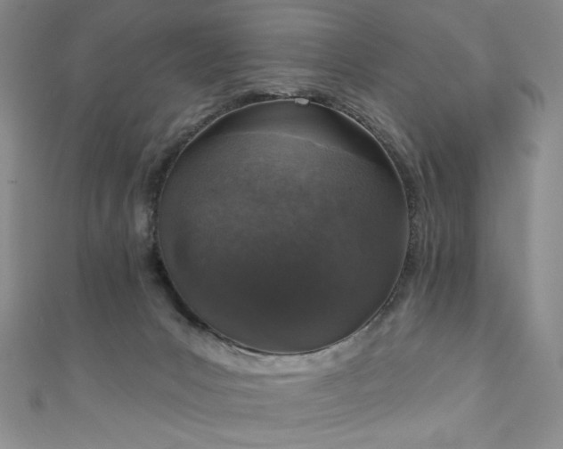 X0000111130031200906301219