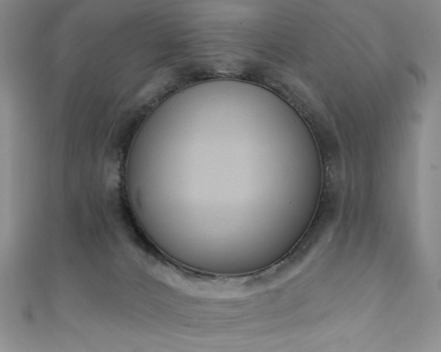 X0000111130032200906301219