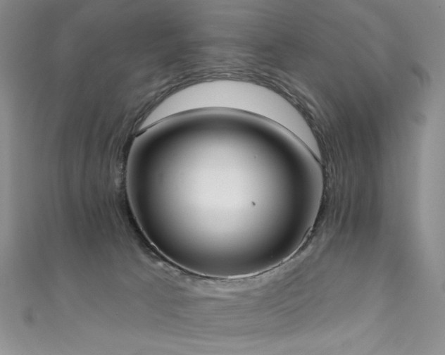 X0000111130033200906301219