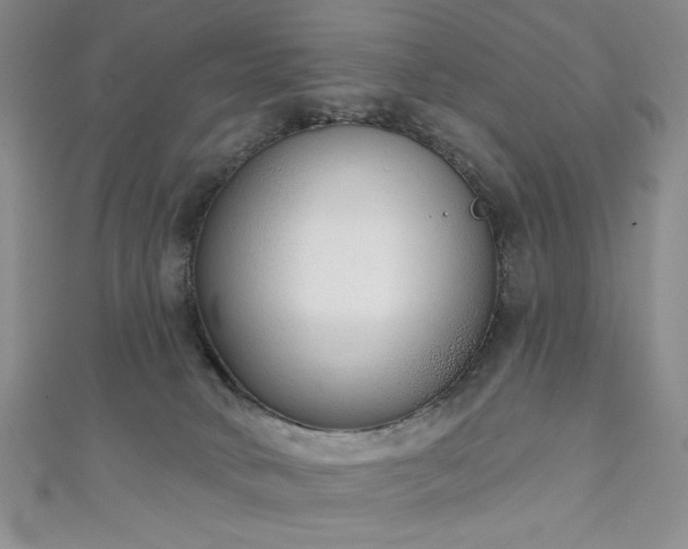 X0000111130034200906301219