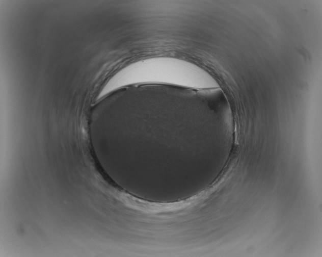 X0000111130035200906301219