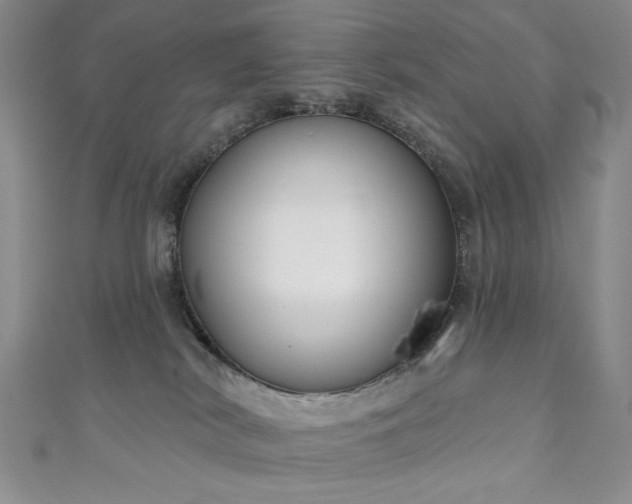 X0000111130038200906301219