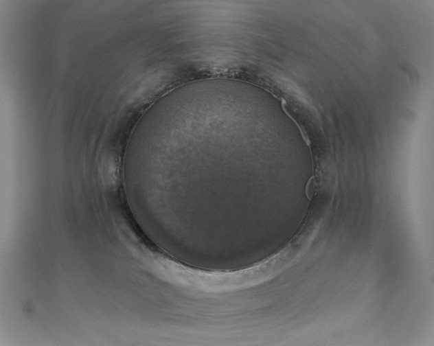 X0000111130039200906301219
