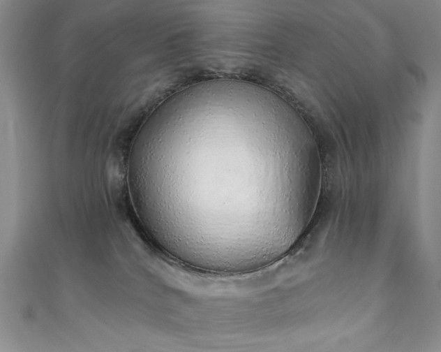 X0000111130040200906301219