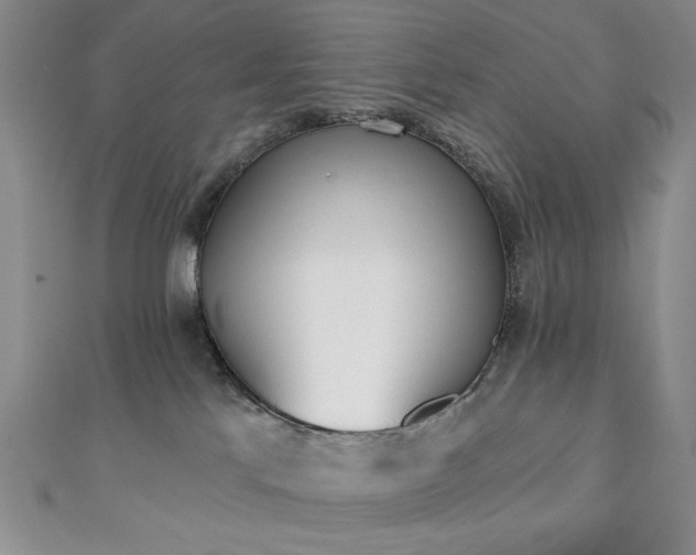 X0000111130041200906301219