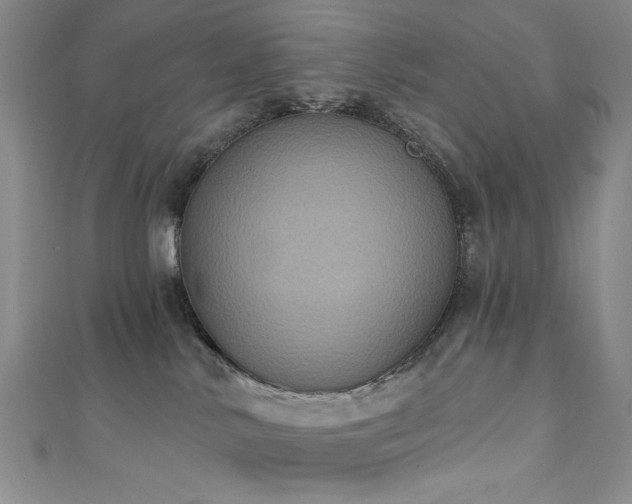 X0000111130042200906301219