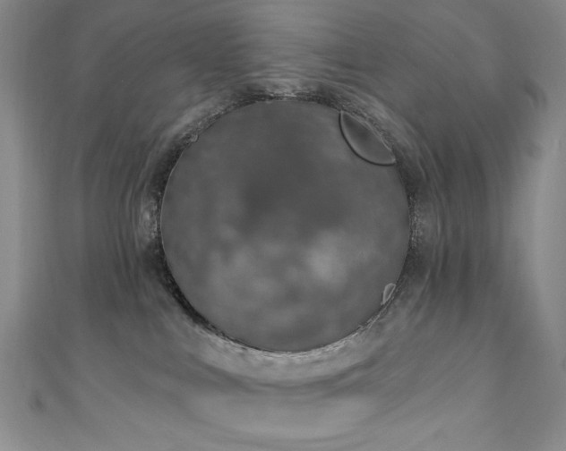 X0000111130043200906301219