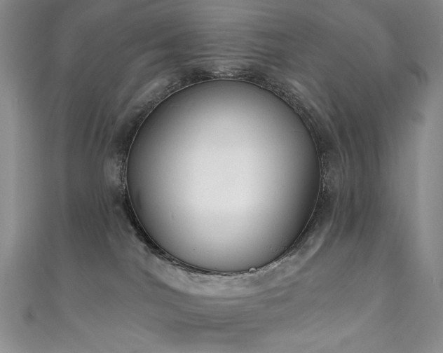 X0000111130044200906301219