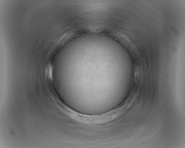 X0000111130046200906301219