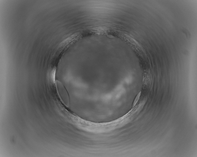 X0000111130047200906301219