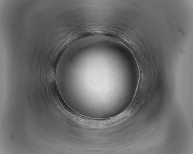 X0000111130048200906301219