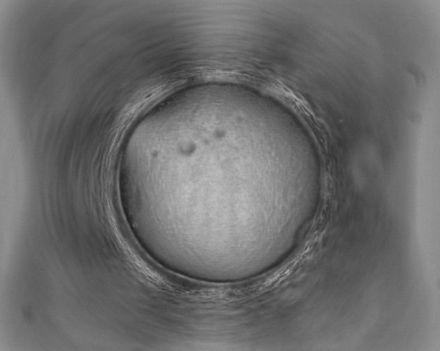 X0000111130049200906301218