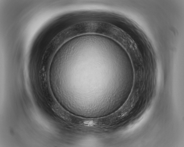 X0000111130050200906301218