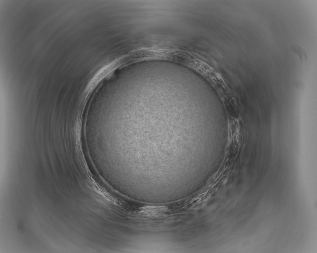 X0000111130051200906301218