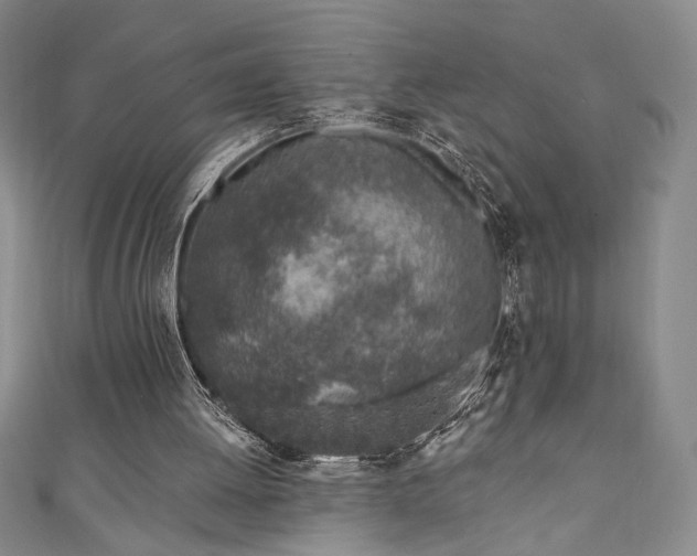 X0000111130052200906301218